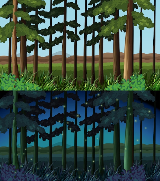 Free Vector forest scene at day time and night time