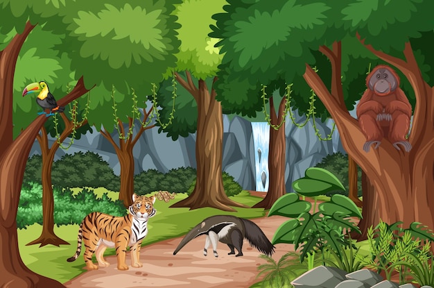 Forest scene with different wild animals