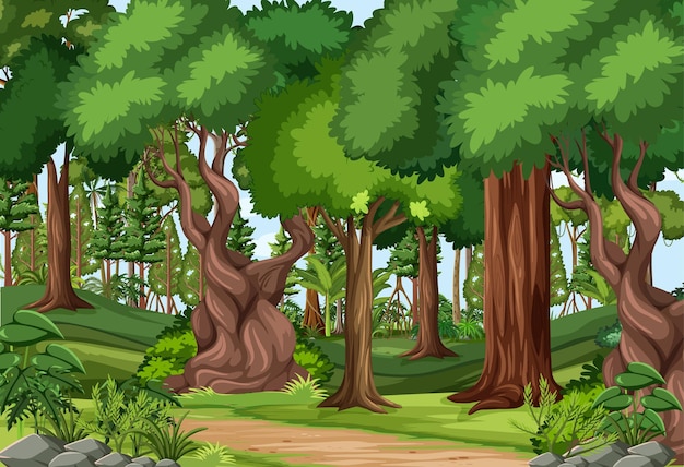 Free Vector forest scene with hiking track and many trees