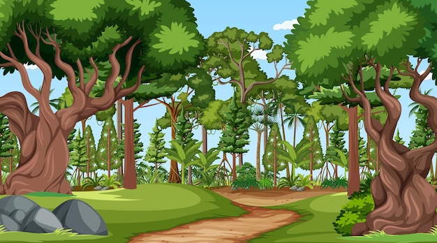 Forest scene with various forest trees