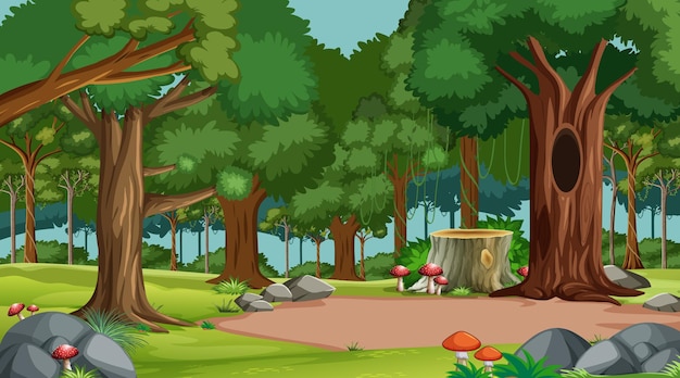 Forest scene with various forest trees