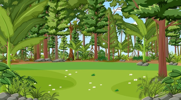 Free vector forest scene with various forest trees