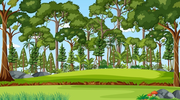 Free Vector forest scene with various forest trees