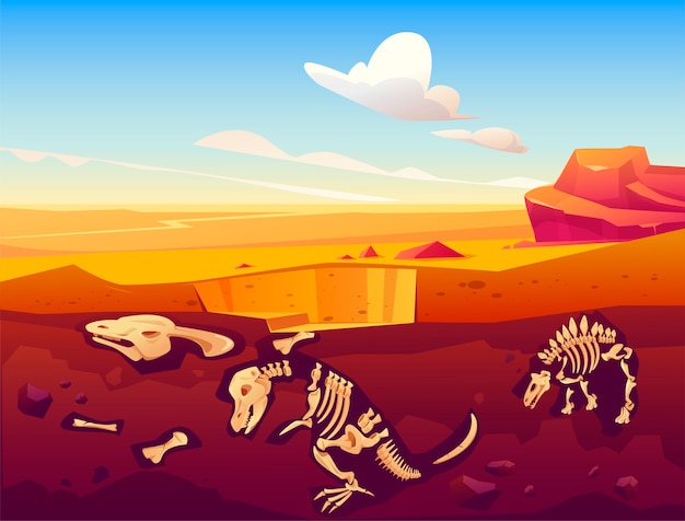 Fossil dinosaurs excavation in sand desert