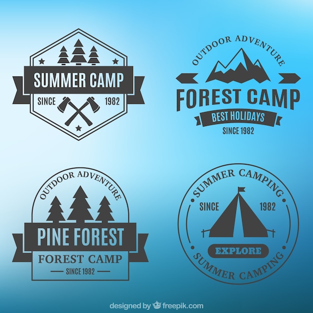 Four badges of camping on a blue background  