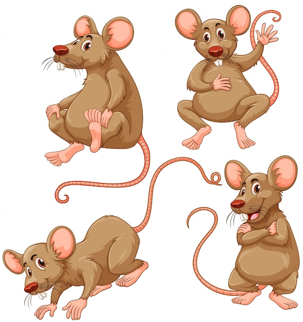 Four brown mouse on white background illustration