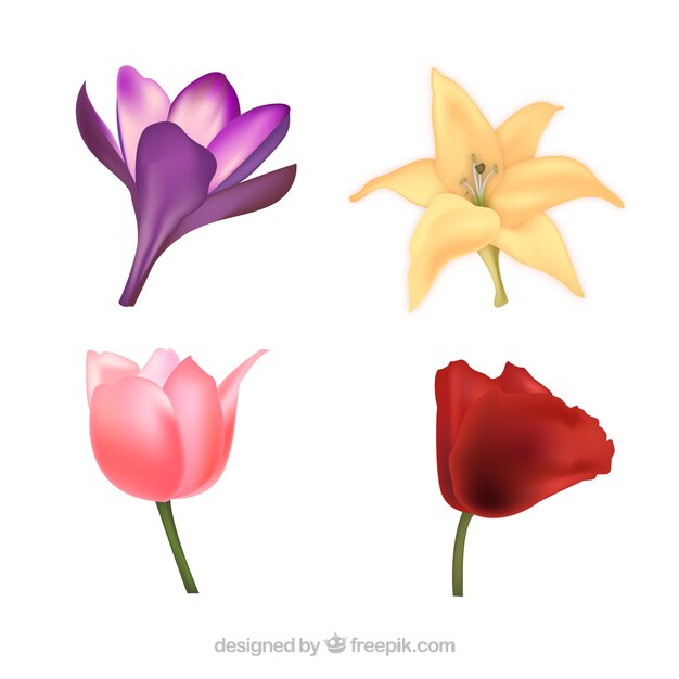 Four cute flowers