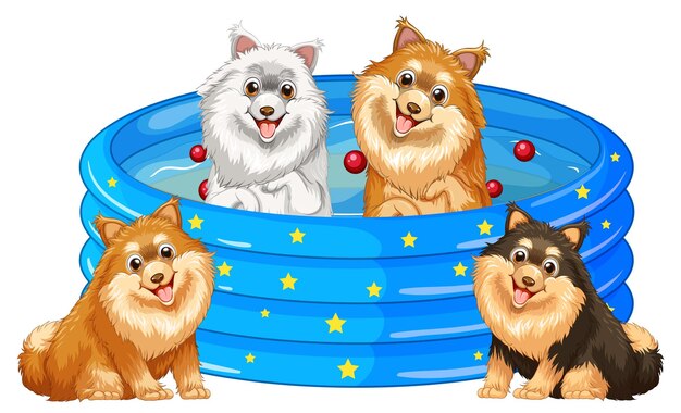 Four dogs playing in the pool