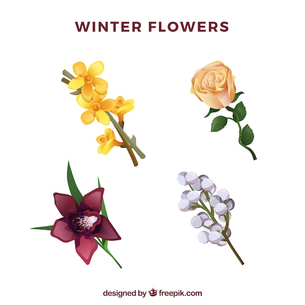 Four flat winter flowers