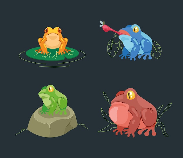 Four frogs amphibians