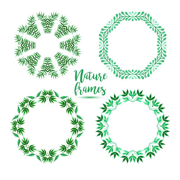 Four green frames with floral elements