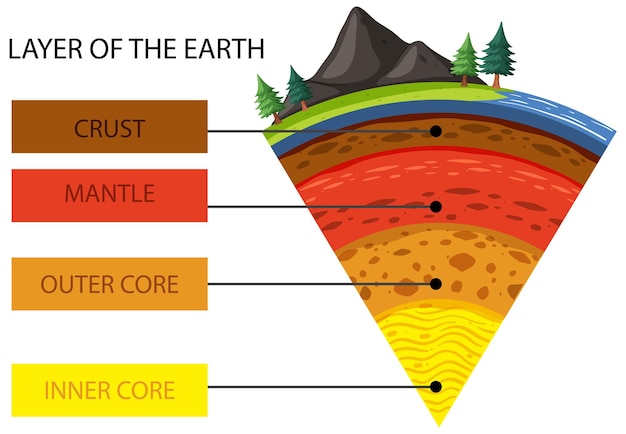 Free vector four layers of the earth