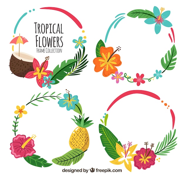 Free Vector four pretty round frames with elements of tropical