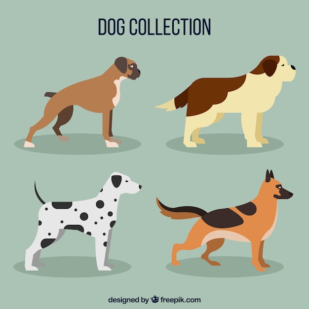 Free Vector four profile dogs in flat design