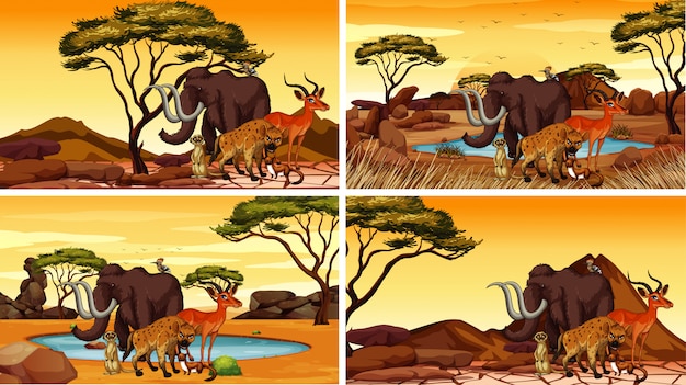 Free vector four scenes with african animals