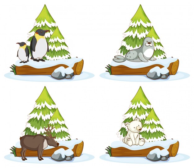 Free Vector four scenes with different animals