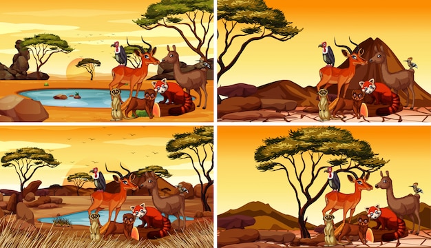 Free Vector four scenes with many animals in the field