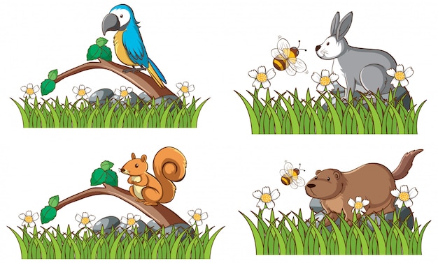 Free Vector four types of animals in garden