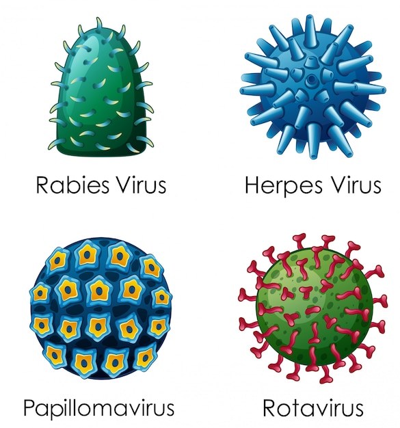 Free Vector four types of viruses on poster