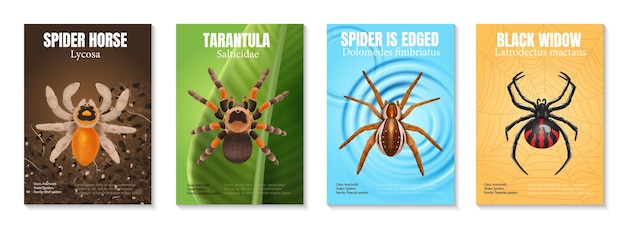 Free Vector four vertical realistic spiders poster set with spider horse tarantula black widow vector illustration