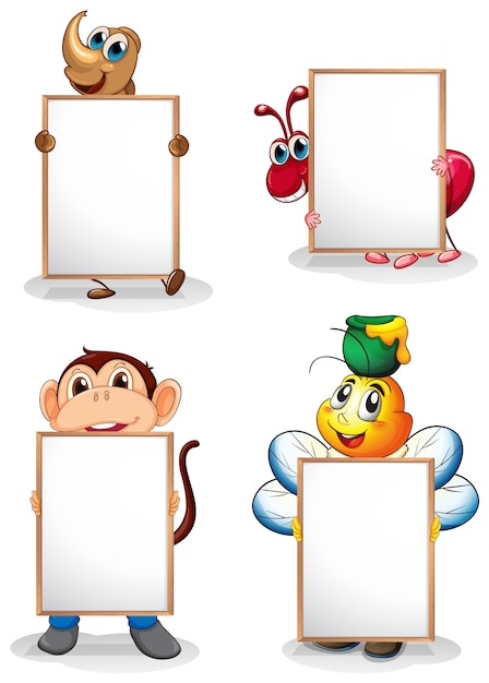 Four whiteboards in front of the four animals