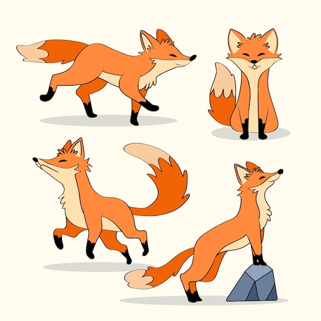 Free Vector fox collection hand-drawn