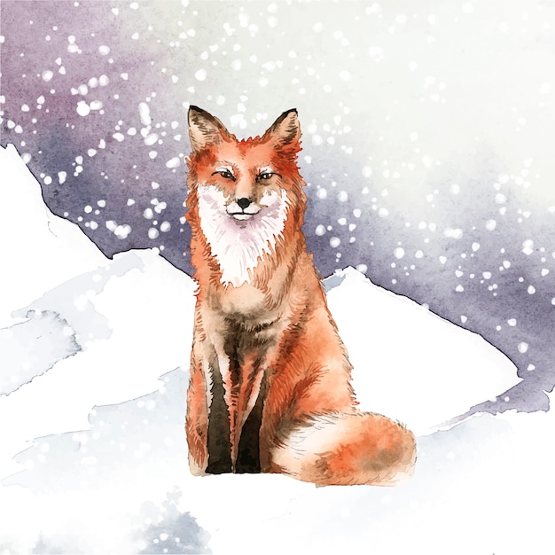 Fox