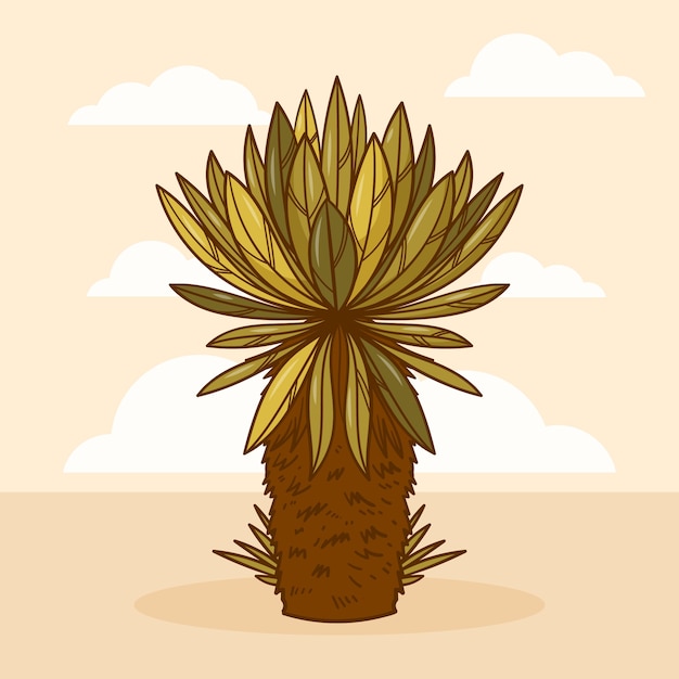 Frailejon plant illustration