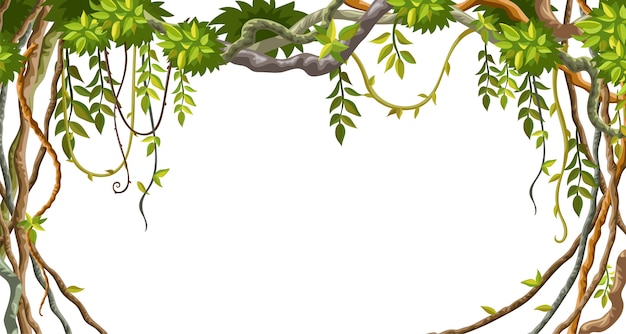 Free vector frame of liana branches and tropical leaves.