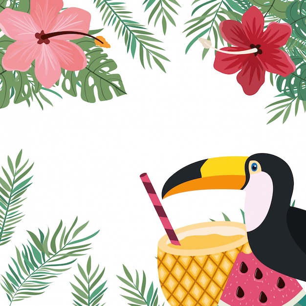 Free Vector frame of toucan and summer flower