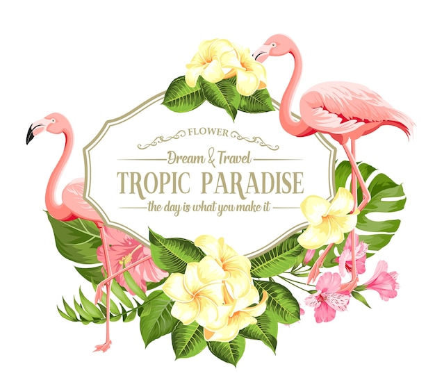 Free Vector frame of tropical flower and flamingos on white background. vector illustration.