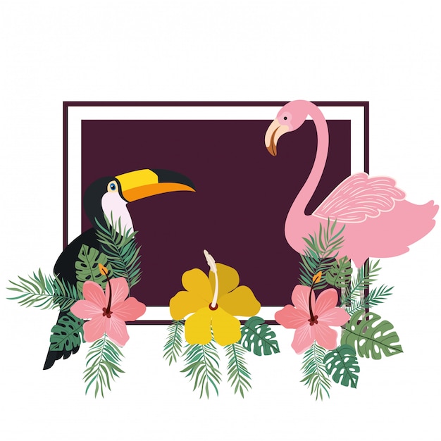 Free Vector frame of tucan and flemish with summer flowers