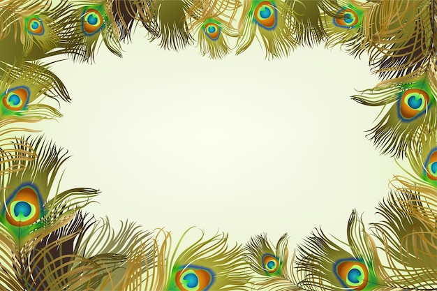 Frame with peacock feathers.