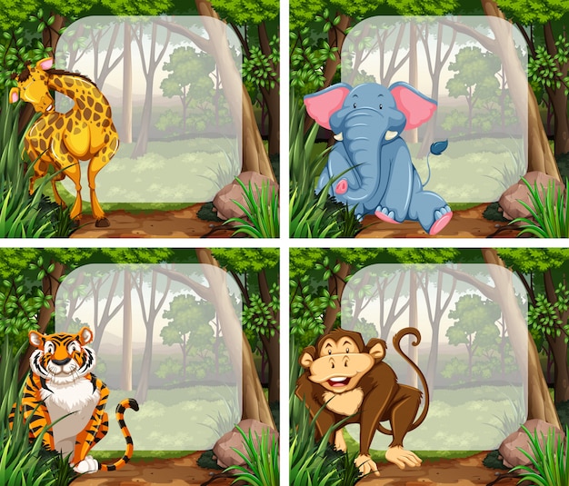 frame with wild animals in jungle