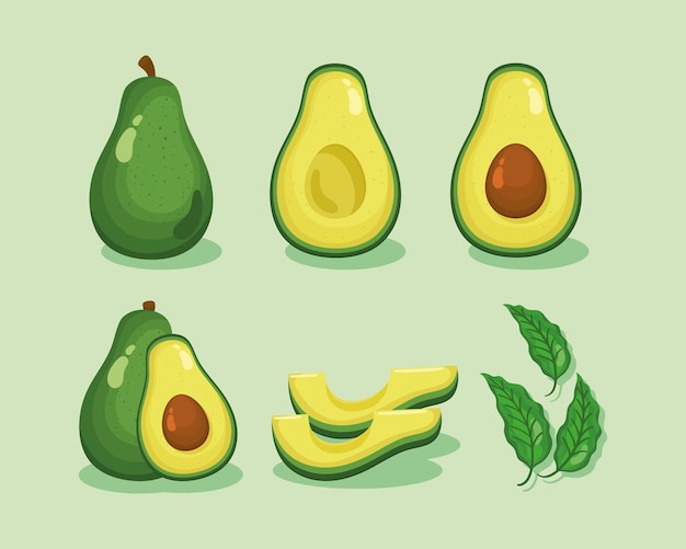 Free Vector fresh avocados vegetables set icons