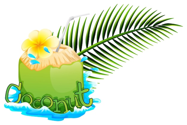 Free Vector fresh coconut juice on white background