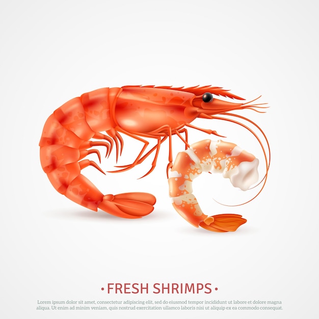 Free Vector fresh cooked shrimps peeled deveined