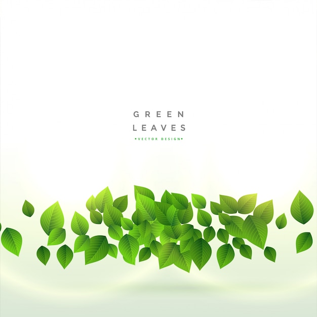 Fresh green leaves background design