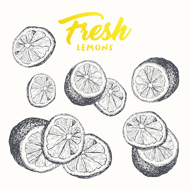 Fresh lemons banner design