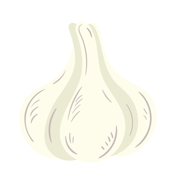 Free Vector fresh organic garlic