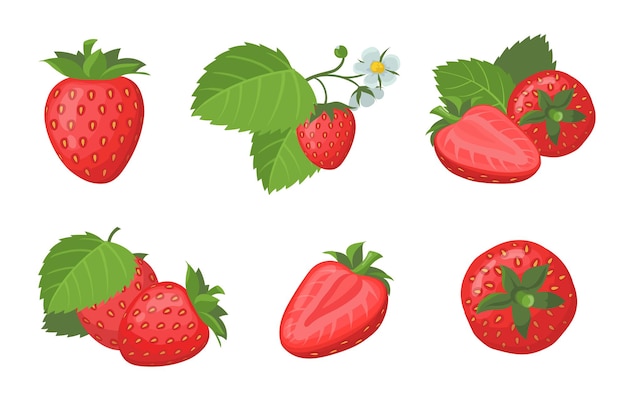 Free Vector fresh ripe strawberry set. whole and sliced juicy red summer berries with leaves isolated on white.  flat illustration