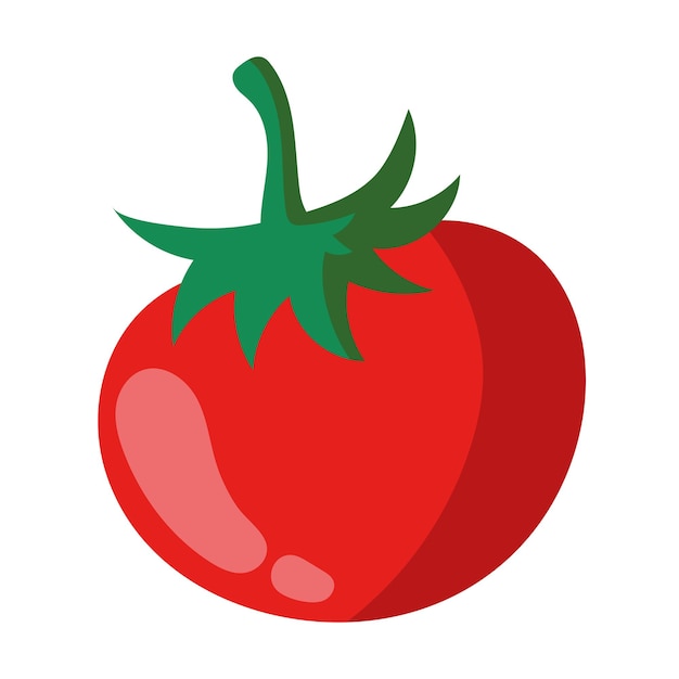 Free Vector fresh tomato vegetable