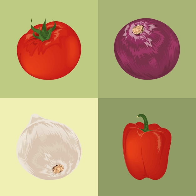 Free Vector fresh vegetables tomato, onion and pepper