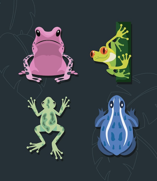 Free Vector frogs amphibians animals