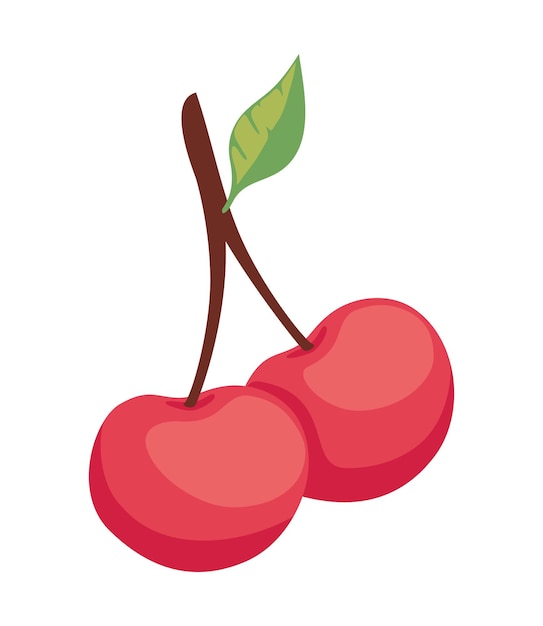 Free Vector fruit cherry with leaf icon design isolated