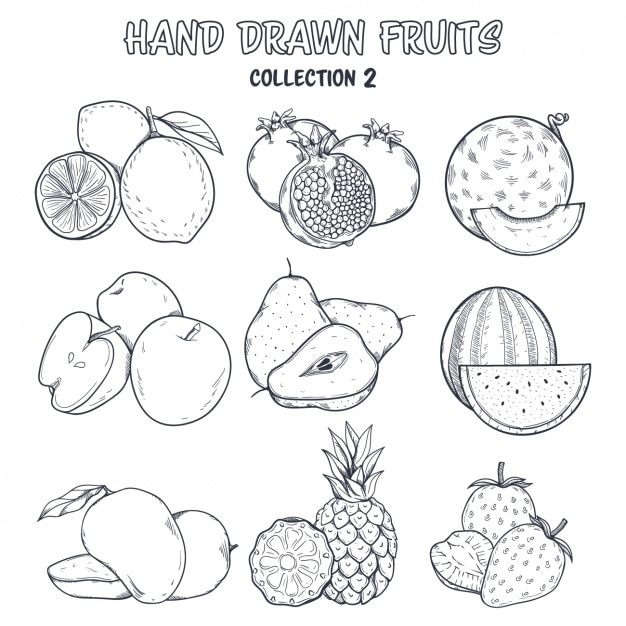 Free Vector fruit coloring design