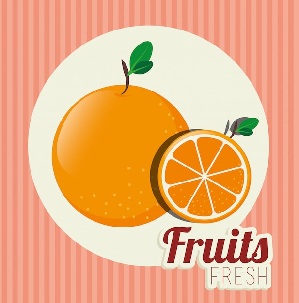 Fruit healthy food illustration 