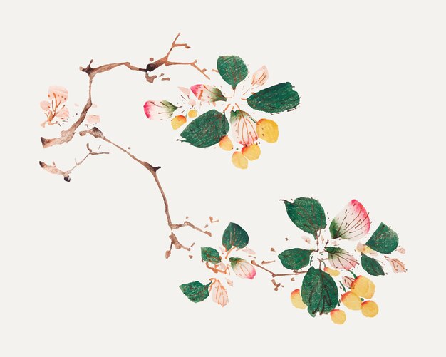 Fruit vector botanical art print, remixed from artworks by Hu Zhengyan