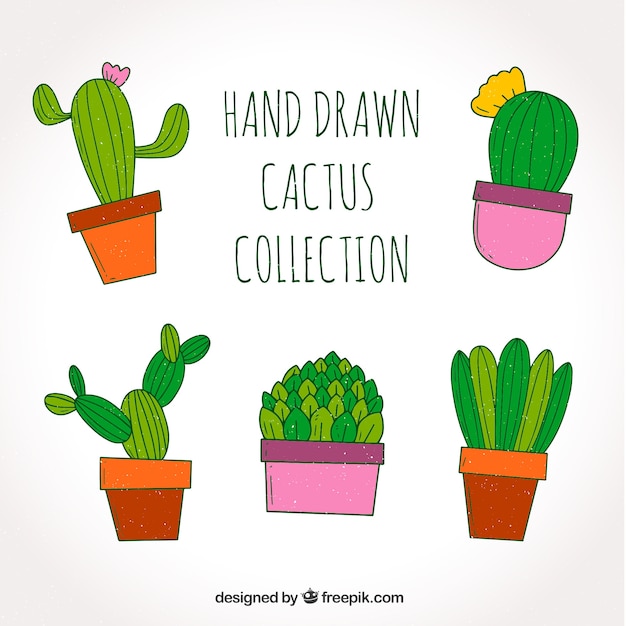 Fun pack of hand drawn cactus