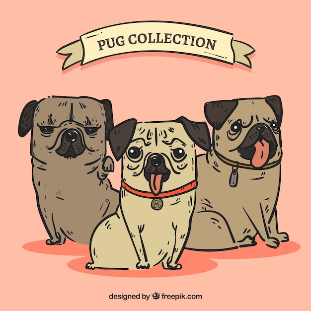 Free Vector fun pack of hand drawn pugs